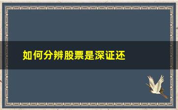 “如何分辨股票是深证还是上证